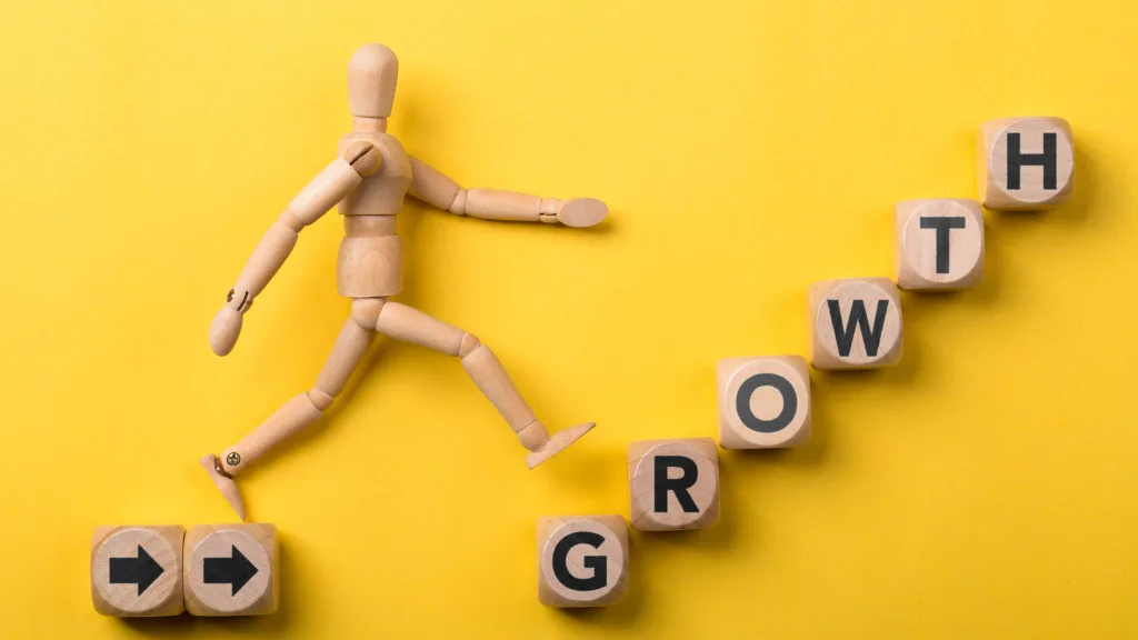 Professional Video Roi